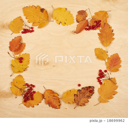 frame from autumn leaves collection and berry  18699962