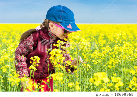 girl in yellow field of rape girl in yellow field of rape 18699969