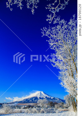 霧氷と富士 18700120