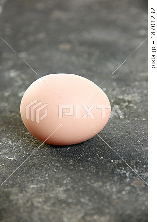 Eggs laid on the floor. Eggs laid on the floor. 18701232