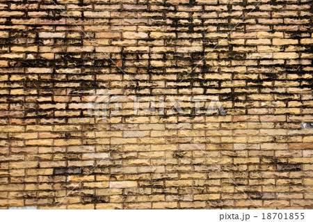Old brick wall. Old brick wall. 18701855