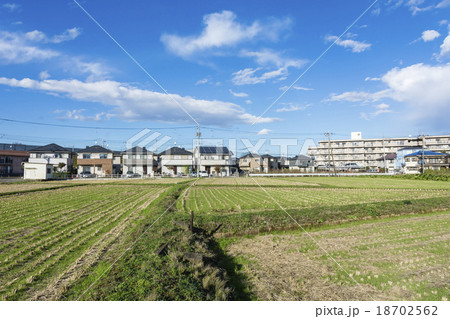 収穫を終えた水田の風景 収穫を終えた水田の風景 18702562