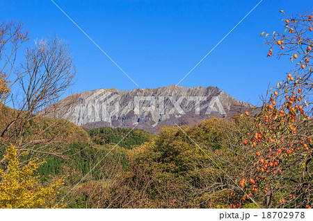 奥大山と柿の木 18702978