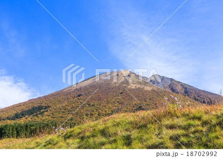 秋の大山桝水高原 18702992