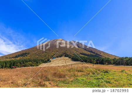秋の大山桝水高原 18702993