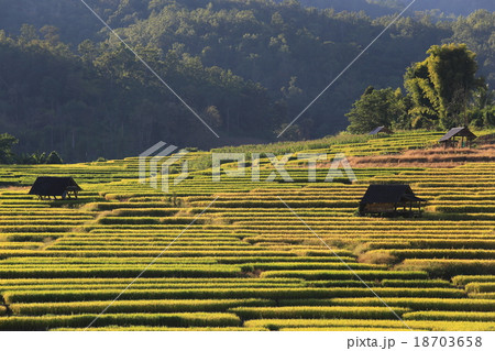 rice terraces 18703658