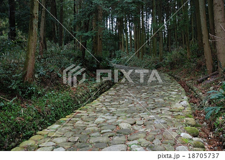 金谷坂の石畳 金谷坂の石畳 18705737