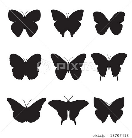 Black butterflies on white background. 18707418