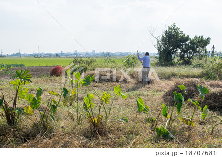 畑の手入れ～枯草の処分２ 18707681