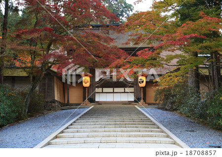 金剛峯寺参道 18708857