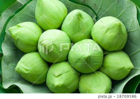 Lotus Lotus 18709586