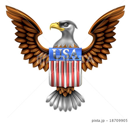 US Eagle Shield Design 18709905