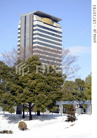 冬の公園と高層ビル 冬の公園と高層ビル 18710783