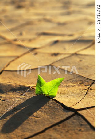 Plant growing through dry cracked soil 18712382