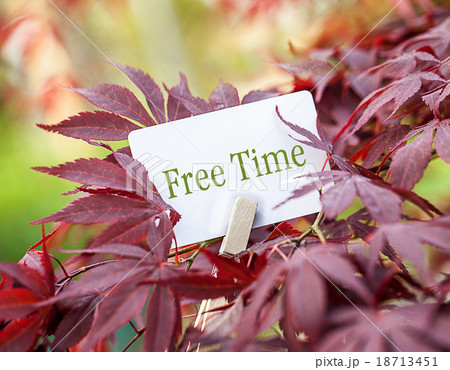 The Word „Free Time“ in a fan-maple tree The Word „Free Time“ in a fan-maple tree 18713451