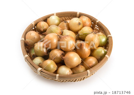 ペコロス 18713746