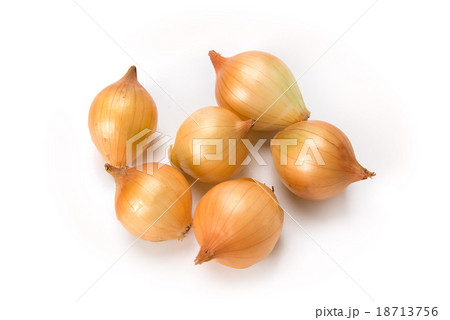 ペコロス 18713756