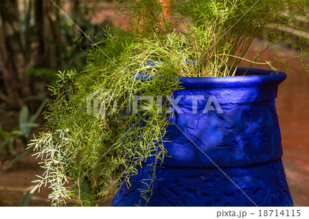 Jardin Majorelle in Marrakesh 18714115
