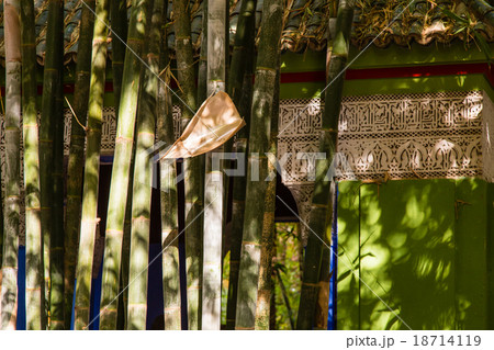 Jardin Majorelle in Marrakesh 18714119