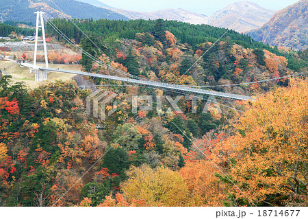紅葉と九重夢大吊橋　北方展望台からの景色　② 18714677