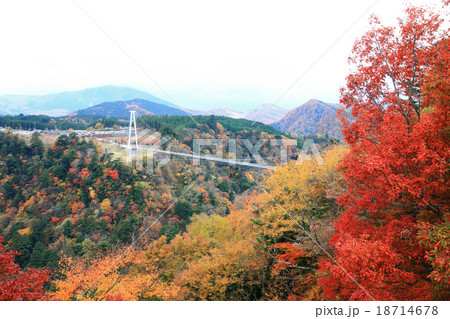 紅葉と九重夢大吊橋 北方展望台からの景色 ③ 紅葉と九重夢大吊橋 北方展望台からの景色 ③ 18714678