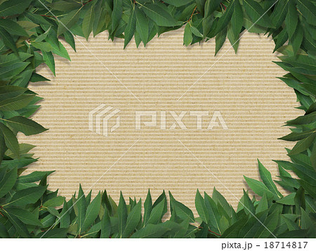 ナチュラル背景 ナチュラル背景 18714817