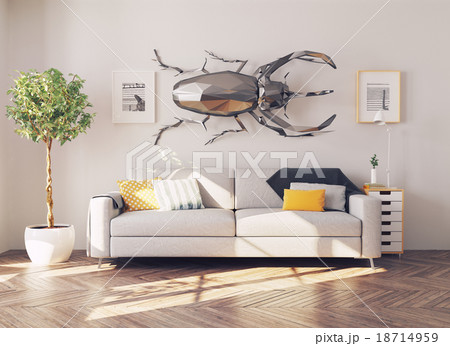 beetle on the wall beetle on the wall 18714959