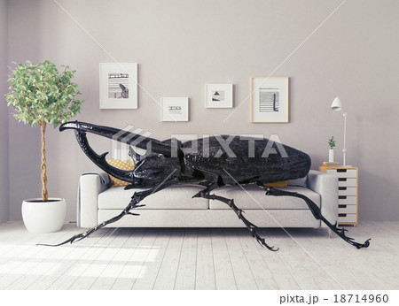 the beetle in the  room 18714960