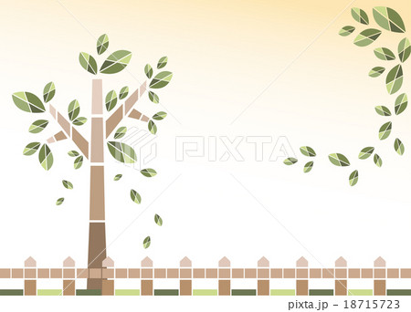 background of tree and leaves 18715723