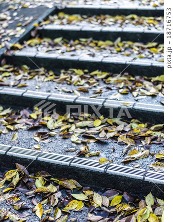 階段の落ち葉 階段の落ち葉 18716753