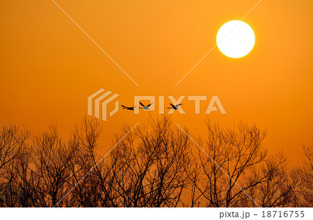 ゆうやけ 18716755