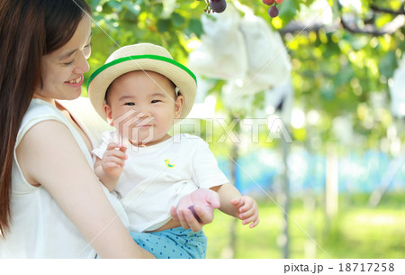 ママとブドウ狩りを楽しむ子供 ママとブドウ狩りを楽しむ子供 18717258