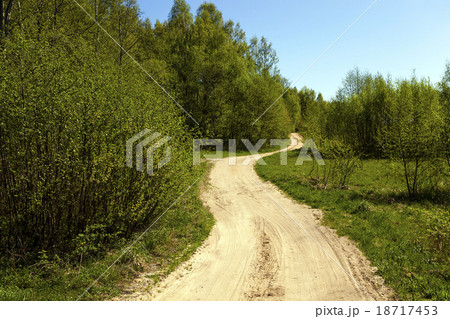 Dirt road . forest. Dirt road . forest. 18717453