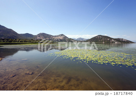 the lake . summertime of year the lake . summertime of year 18717840