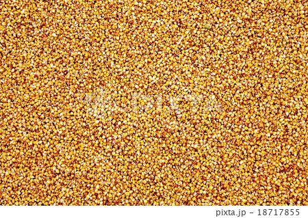 corn . after last harvesting corn . after last harvesting 18717855