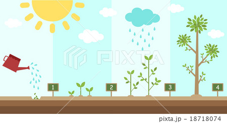 flat background of planting tree process 18718074