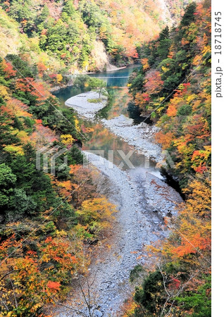 寸又峡の紅葉 18718745