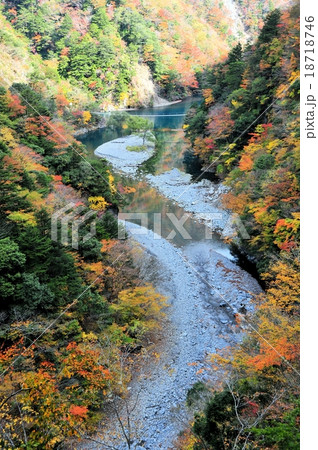寸又峡の紅葉 18718746