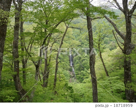 鬼怒川の渓 18718959