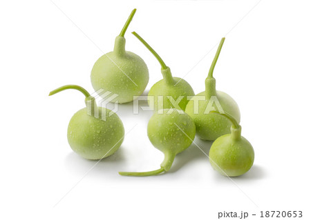 calabash calabash 18720653