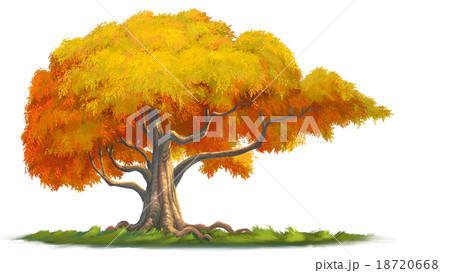 Big tree Big tree 18720668