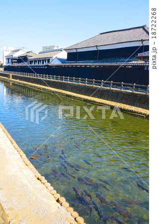 巴波川沿いに建ち並ぶ「蔵屋敷」(栃木県栃木市) 巴波川沿いに建ち並ぶ「蔵屋敷」(栃木県栃木市) 18722268