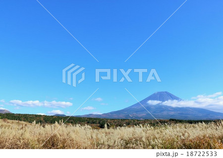 富士山と朝霧高原のススキの原の写真素材