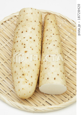 長芋の写真素材