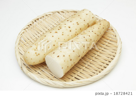長芋 18728421