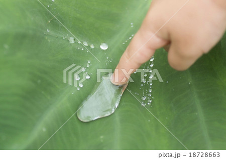 水滴を触る子供 水滴を触る子供 18728663