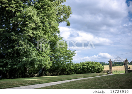 大きな木と空 大きな木と空 18728916