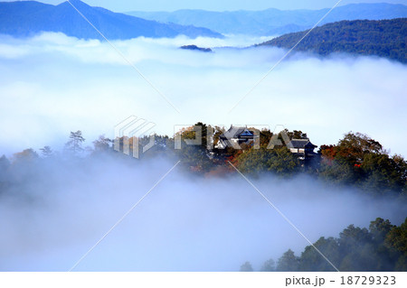 天空の城600 天空の城600 18729323