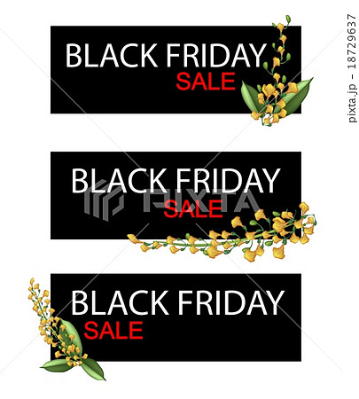 Yellow Padauk Flowers on Black Friday Sale Banner 18729637