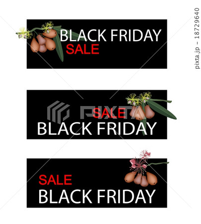Water Apple on Black Friday Sale Banner 18729640
